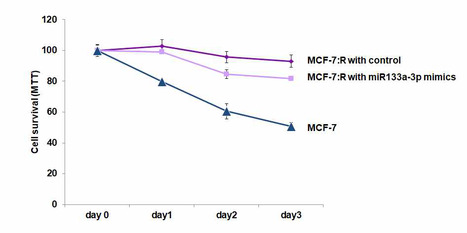 MCF-7:R 세포에 miR133a-3p mimics 처리시 tamoxifen에 대한 세포의 반응성 변화 고찰. 세포생존도는 24, 48, 72 시간 간격으로 MTT assay를 이용하여 측정하였음