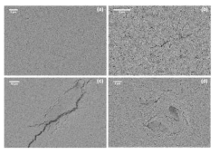 도공층 표면 이미지 (a) CMC 0.1 pph, (b) CMC 0.5 pph (small crack), (c) CMC 0.5 pph (large crack), (d) CNF 0.4 pph