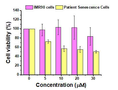 SP-101의 정상세포 (Pink bar)와 환자에게서 채취한 노화세포 (Yellow bar)에 대한 독성 분석을 보여주는 그래프