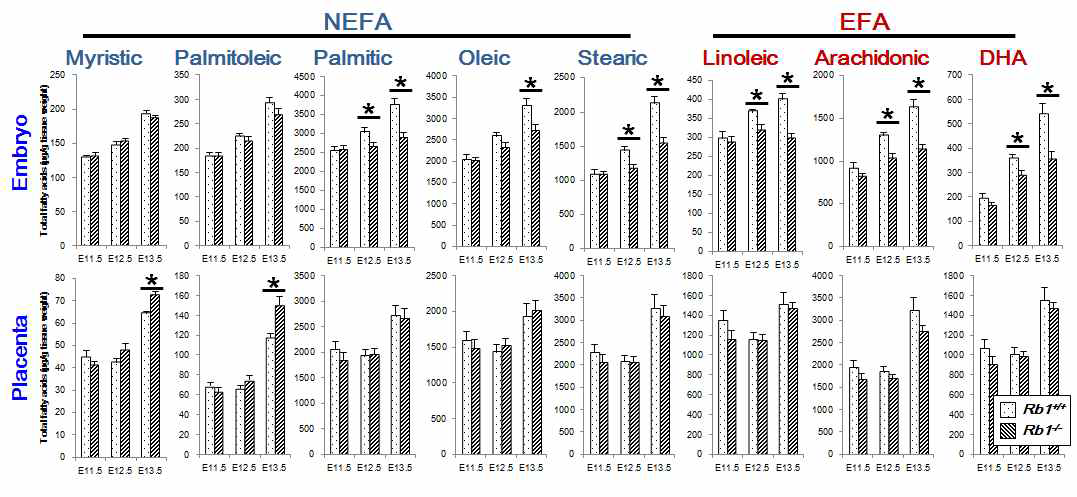 Rb1 결손배아/태반에서의 GC-MS 기반 지방산 대사체 분석 (*, p<0.05 in one-way ANOVA)