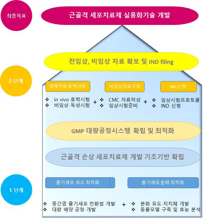 “근골격 줄기세포를 이용한 근골격계 질환치료기술개발” 과제의 연구개요도