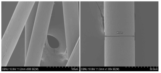 탄화된 황산 가교화 LDPE/HDPE Sheath-Core 섬유의 SEM 이미지