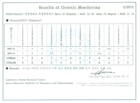 C57BL/6J와 C57BL/6N 구분용 유전모니터링 결과(12개 SNP marker)
