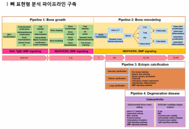 분석 파이프라인 구축