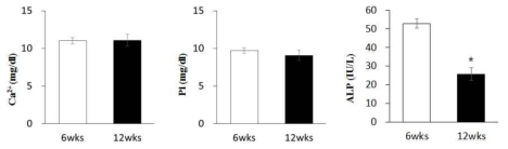 마우스 6주령과 12주령에서의 혈중 칼슘, 인 및 ALP 치 변화
