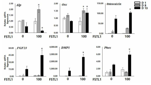 Real time PCR을 이용한 골분화마커 유전자 발현변화 FSTL1을 처리한 그룹에서 ALP, Osx, FGF23, DMP1, Phex와 Osteocalcin이 증가함