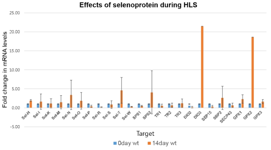 Selenoprotein 및 GPX mRNA level 분석 결과