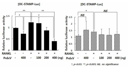 Raw264.7세포에서 Prdx5에 의한 OC-STAMP 유전자의 발현 조절
