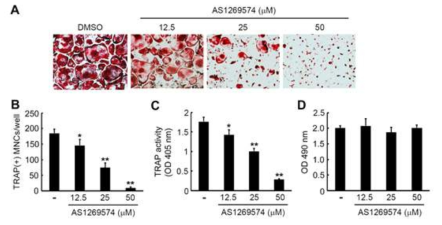 GPR119의 agonist-AS1269574는 파골세포의 분화를 억제함