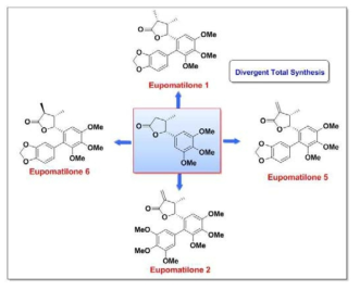 eupomatilones-2,5,6 과 3-epi-6 4종의 리그난 전합성 연구 수행