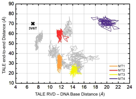 TALE-DNA 간 비특이적(unspecific) 결합 상태에 대한 구조적 지도 (conformation map)