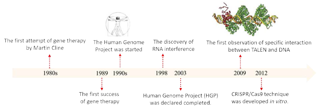 유전체 편집 기술의 주요 이정표