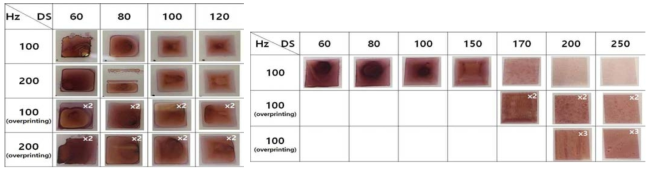 주파수(Hz) 및 용액간격(drop spacing, DS)에 따른 유기박막의 표면형상