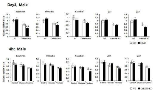 고과당 식이 및 ChREBP KO에 의한 tight juction 관련 유전자 발현 변화