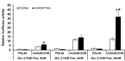 간세포에서 과당과 ChREBP에 의한 Glut5 promoter의 활성 조절 결정