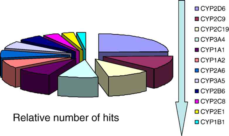 다형성 CYP효소들의 상대적 중요도