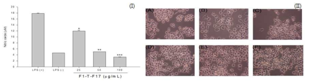Inhibition of nitric oxide production by F1-T-F17 in LPS stimulated Raw 264.7 cell. Values are mean ± S.D, n=3. *significant difference (P<0.05) from control (I). Morphological change in macrophage Raw 264.7 cells. Morphology of Raw 264.7 cell visualized by optical microscopy (x400). The cells were pretreated with F1-T-F17 before incubation with LPS for 72h. (A) LPS (-) (B) LPS (+) (C) LPS-treated with F1-T-F17 10 μg/mL (D) 25 μg/mL (E) 50 μg/mL (F) 100 μg/mL (II)