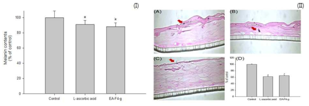 Melanin synthesis inhibitory activity of EA-F5-g on Neoderm-ME. Values are mean ± S.D, n=3. *significant difference (P<0.05) from control (I). Inhibition of melanin accumulation by EA-F5-g in a Neoderm-ME. The artificial skin model with control (PBS), positive control (L-ascorbic acid), EA-F5-g and cultured in the maintenance media provided by the company for 3 day. (A) Control (B) L-ascorbic acid (C) EA-F5-g (D) Calculation melanin synthesis by using Image J program (II)