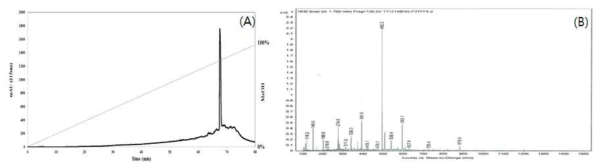 Elastase inhibitory activity of F3-T-F8 separated by HPLC. Separation was performed with gradient of MeOH from 100% in 60 min at a flow rate of 1.0 ml/min and YMC- Triart C18 (ODS, ø 4.6 x 250 mm, 5 μm). Elution was monitored at 215 nm (A). Identification of molecular mass of the purified F3-T-F8 on a Q-TOF tandem mass spectrometer equipped with a nano-ESI source (B)
