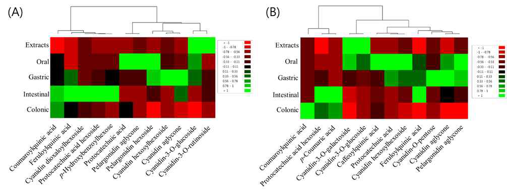 Heatmap of (A) mulberry and (B) chokeberry anthocyanin metabolites in vitro digestion model. Red and green colors presented in the heatmap indicate values above and below the mean centered and scaled expression values, respectively. Black indicates values close to the mean