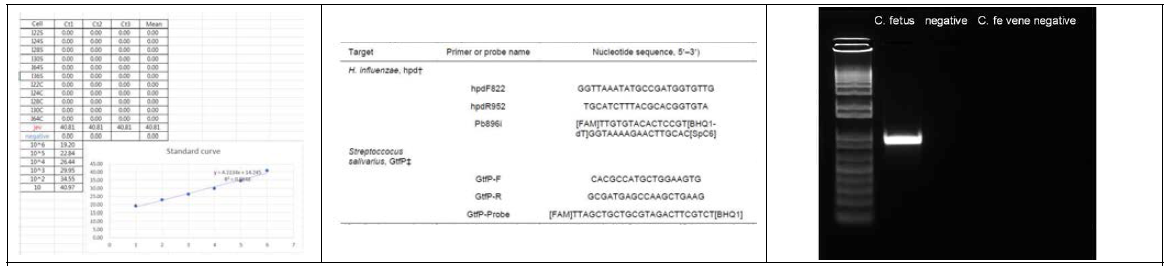 JEV 확진 qPCR 검사 (좌), H.infleunzae, S.salivarius 확진 PCR 검사 (중) Campylobacter fetus subspecies 확진 및 감별 PCR 검사 (우)