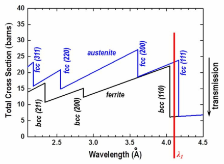 Austenite와 Ferrite의 중성자 에너지에 따른 중성자 Total Cross Section