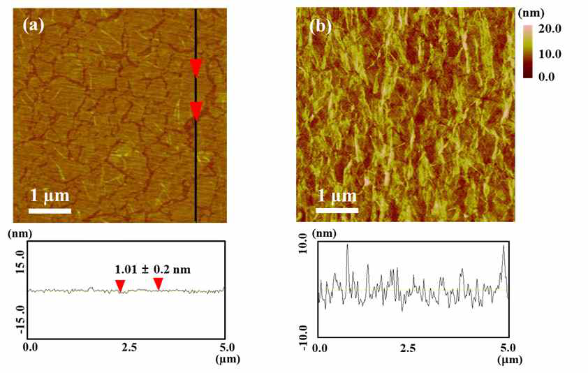 랭뮤어-블라짓 기법을 이용하여 제조한 (a) flat 산화그래핀 박막 및 (b) wrinkled 산화그래핀 박막 AFM 분석 결과