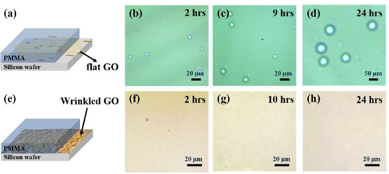 (a) flat한 산화그래핀 박막 및 (b) wrinkled한 산화그래핀 박막 위에서의 PMMA 박막의 열처리에 따른 비젖음현상 OM 분석 결과