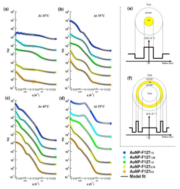 금나노입자-고분자 복합구조체의 온도와 친/소수성 질량분율 변화에 대한 SANS Intensity의 의존성, (a) 25 ℃, (b) 35 ℃, (c) 45 ℃, (d) 55 ℃, (e) 구형 및 실린더형 마이셀의 금나노입자 포획 모델, (f) 베시클형 마이셀의 금나노입자 포획 모델