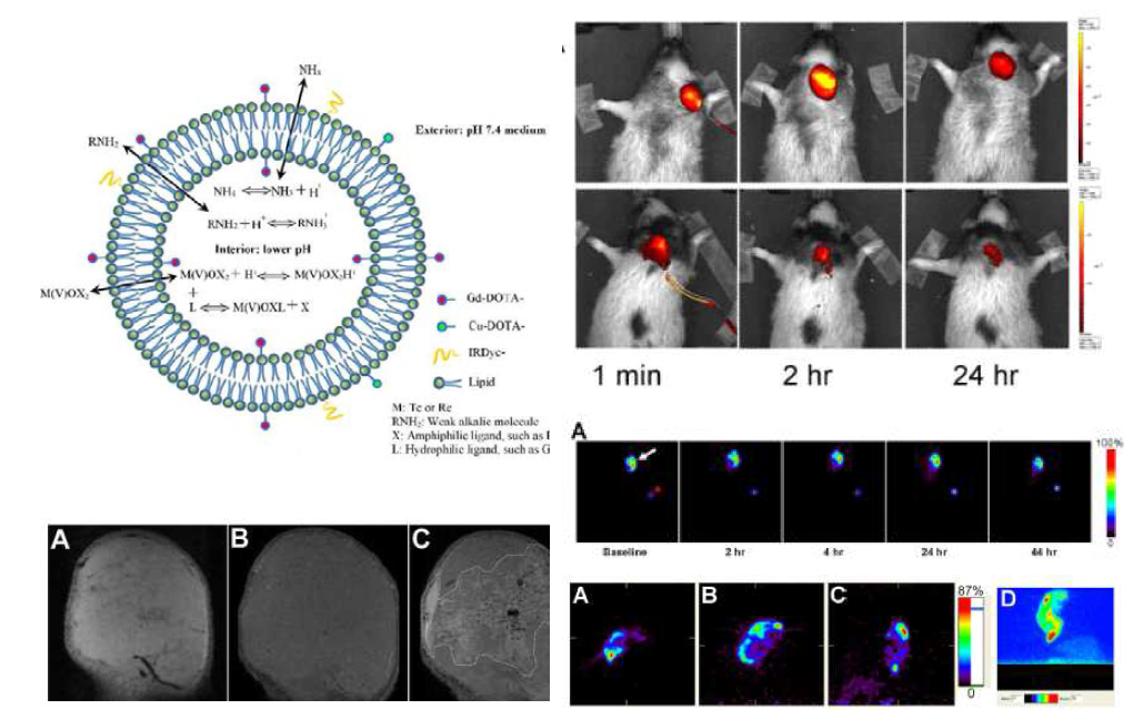 MRI, NIR. 핵의학 프로브가 다중 결합된 리포좀 (왼쪽 위), MR 영상 (왼쪽 아래), NIR 영상 (오른쪽 위), SPECT 영상 (오른쪽 중간), PET 영상 (오른 쪽 아래) [Li 2012]