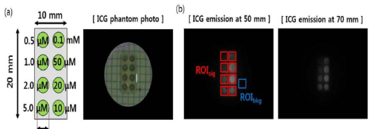 ICG 농도 별 영상 강도 실험: (a) 실험에 사용된 팬텀의 수치와 팬텀 사진 (b) 30 mm, 50 mm 거리에서 획득한 ICG 근적외선형광 영상과 관심영역 설정