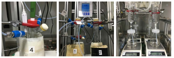 실시간 기체 발생량과 pH 측정이 가능한 개미산 탈수소화 반응 시스템