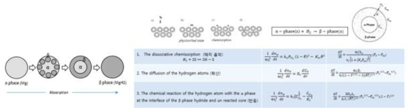 수소 흡수 반응에서의 열전달 모델