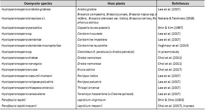 List of Hyaloperonospora species in Korea