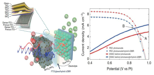 본 연구팀에서 제작한 고성능 PEC/cDBR/DSSC 하이브리드 광전기화학 소자 (BiVO4/WO3과 cDBR 및 염료감응형 태양전지의 구성)