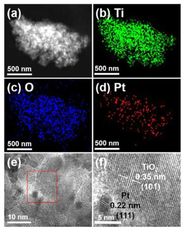 Pure한 TiO2 및 환원된 TiO2, Pt 도포한 환원된 TiO2 광촉매의 STEM 결과
