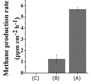 (a) rGO-TNTNP, (b) TNT, (c) rGO-TiO2 포일의 메탄 발생량