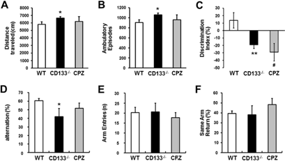 CD133 결여 생쥐에서 나타나는 인지기능 저하 행동 관찰
