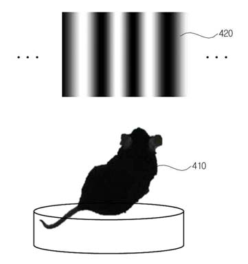실험동물의 시선을 유인하는 유인체 (420)와 그것을 보고 있는 실험동물(410)을 예시한 그림