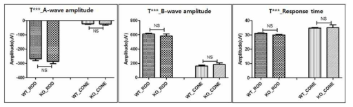 T*** KO의 electroretinography 분석: a-, b-wave, repsonse time