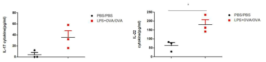 IL-17 and IL-22 ELISA in BALF of Neutrophilic asthma model mice