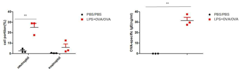 Changes in cell portion and OVA-specific IgE in BALF and serum of Neutrophilic asthma model mice, respectively