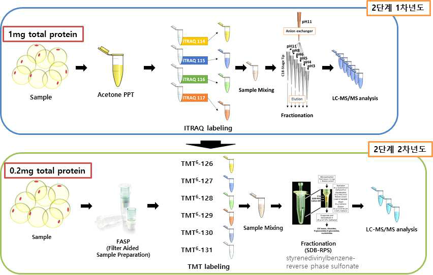 프로테옴 분석 샘플 단백질 추출 프로토콜 최적화