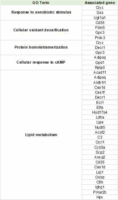 패턴에 따라 확인된 86개의 단백질의 GO term list