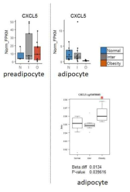 비만환자의 adipocyte와 preadipocyte에서 Cxcl5의 발현과 methylation변화