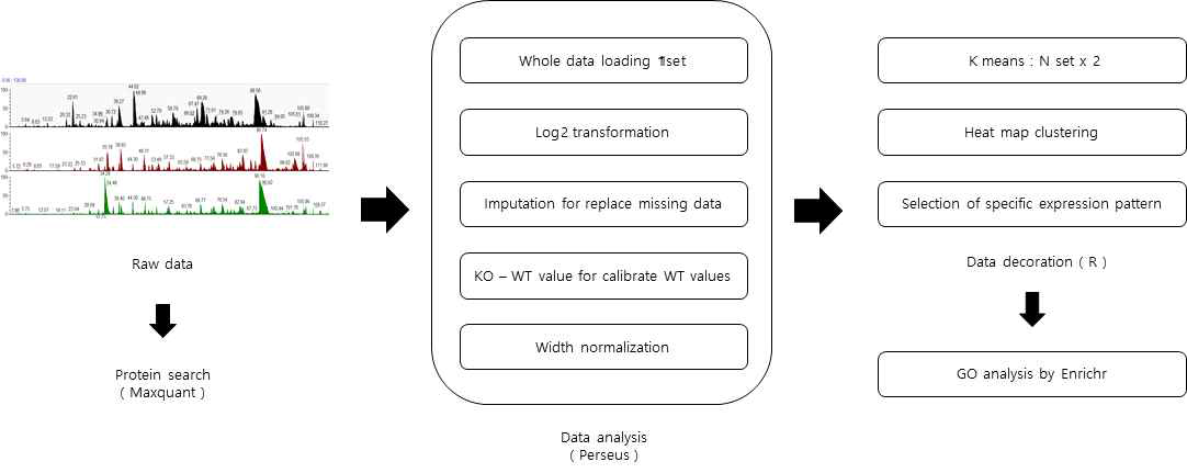 Data analysis scheme