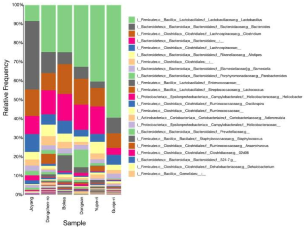 야생 마우스의 포획 지역별 장내 microbiome에 대한 family단위에서의 분류