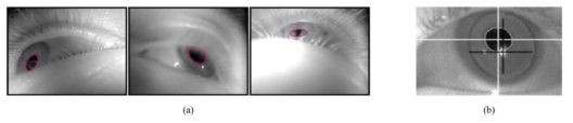 동공 검출이 어려운 경우 예시. (a) 눈꺼풀/속눈썹에 의해 가려진 동공, (b) 콘택트렌즈 경계가 동공 검출을 방해할 수 있으며, 렌즈 굴절에 의해 동공 중심이 왜곡 추정될 수 있음 (모두 동공은 타원 형태임)