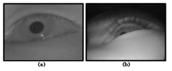 (a) 기존의 동공 데이터 셋의 이미지, (b) 현 eye tracker의 이미지