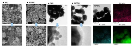 WC, Ni/WC의 SEM(좌), TEM(중) 이미지 및 Ni/WC의 EDS mapping 결과(우)